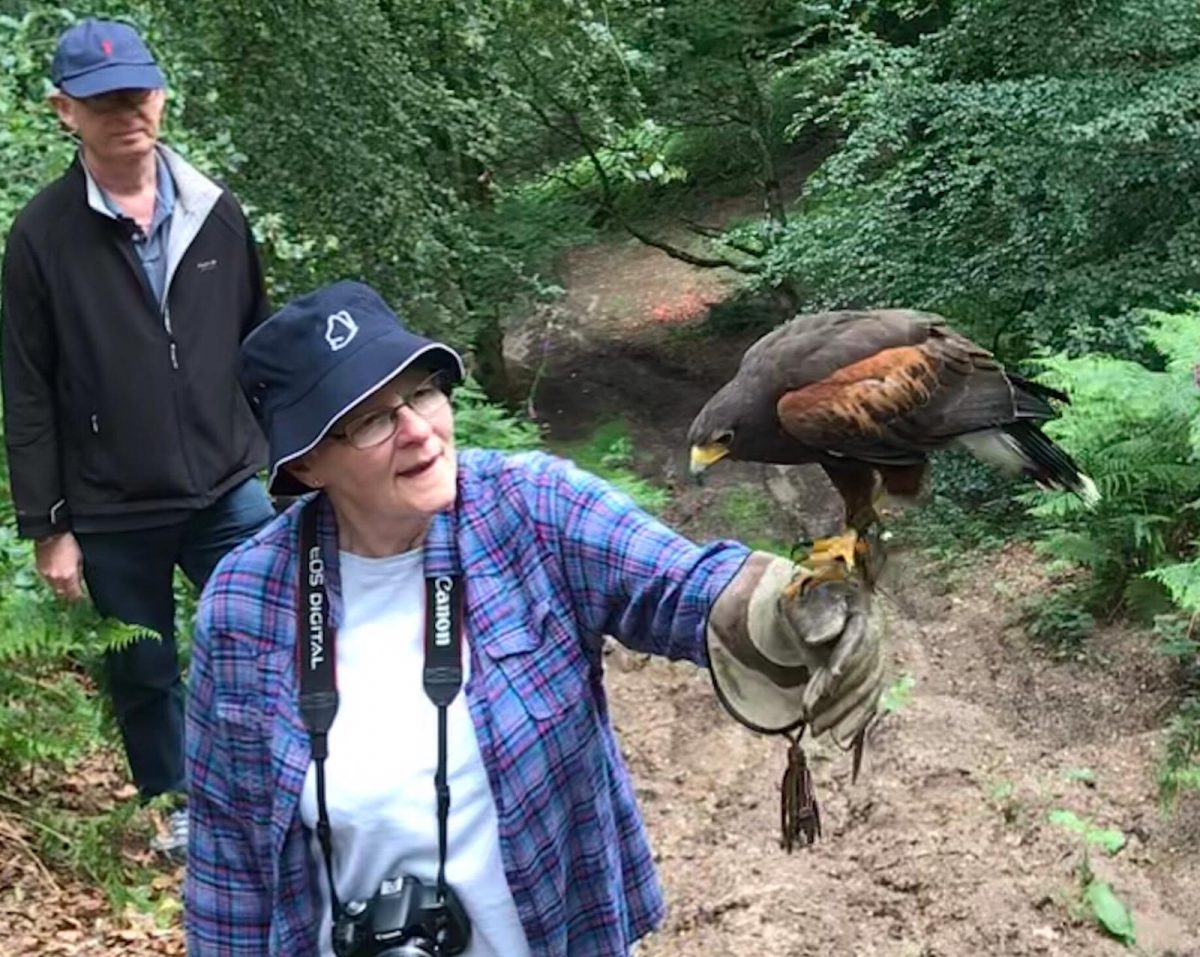 Hawk Walk