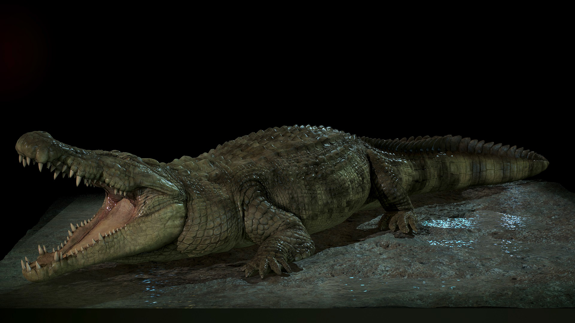 Deinosuchus crocodile - Stock Image - E446/0538 - Science Photo Library