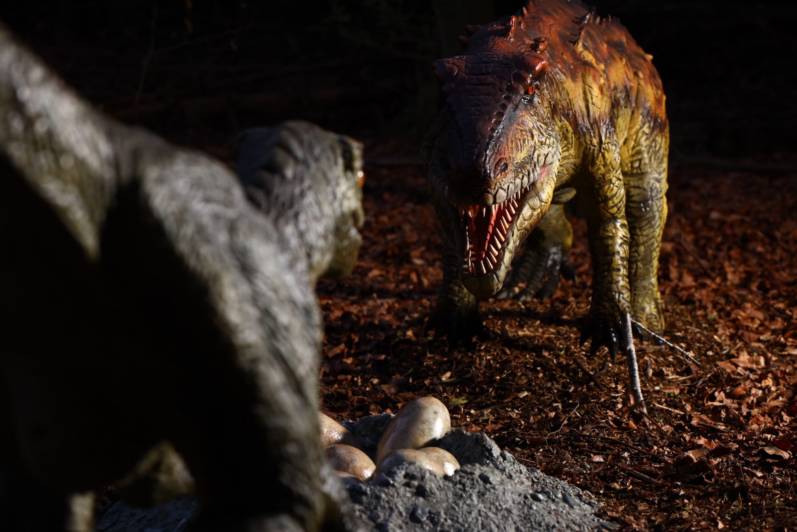 Hoo Zoo & Dinosaur World