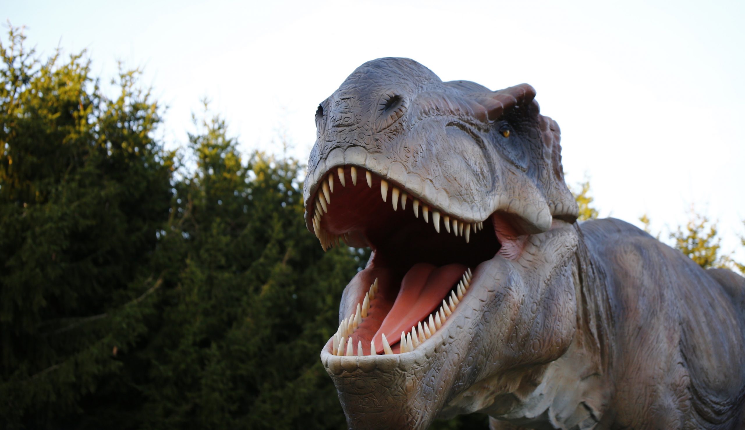 Hoo Farm Animal Kingdom