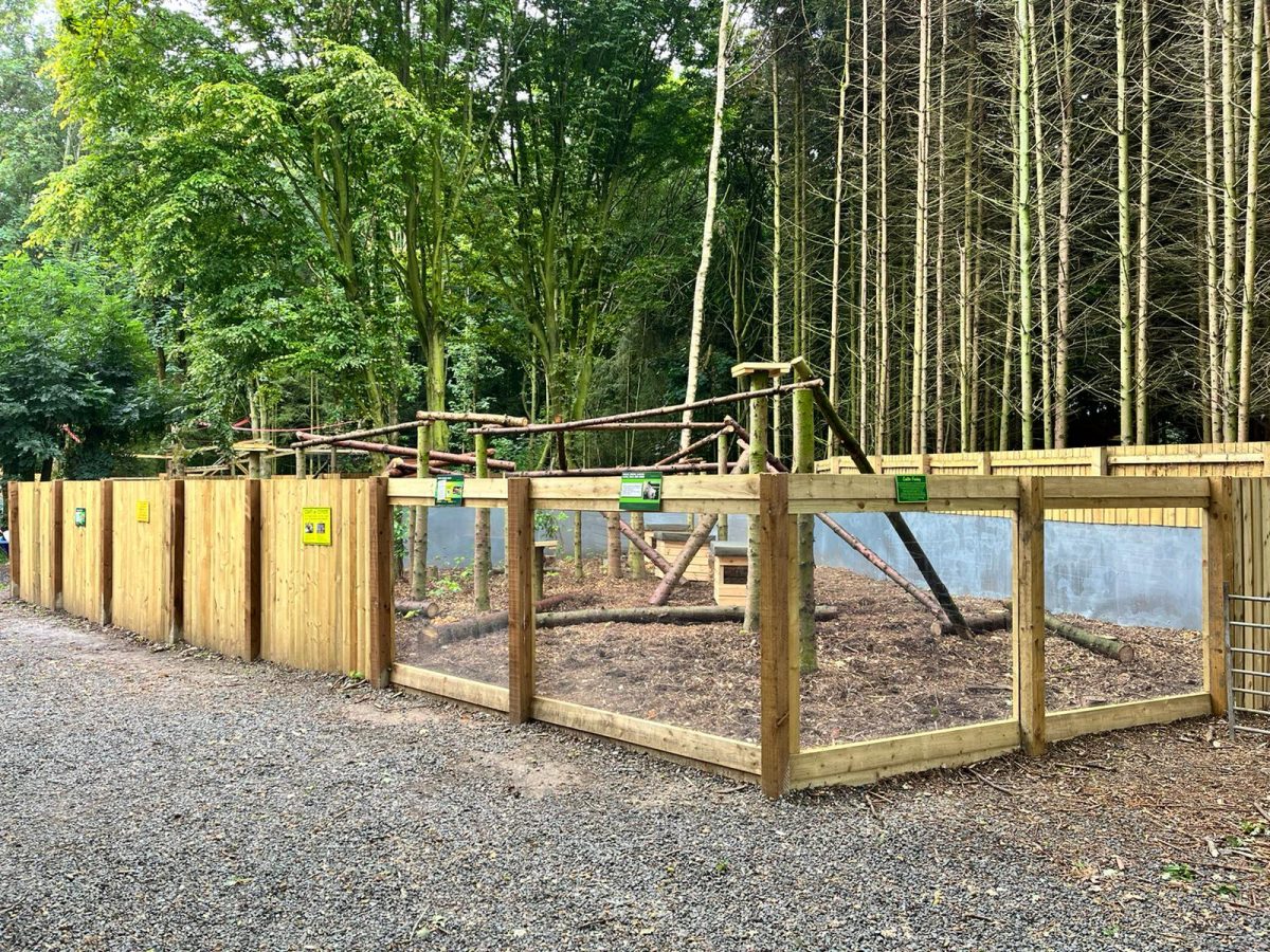 New Coati Habitat